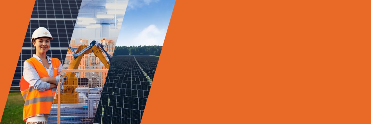 Boviet Company Optio