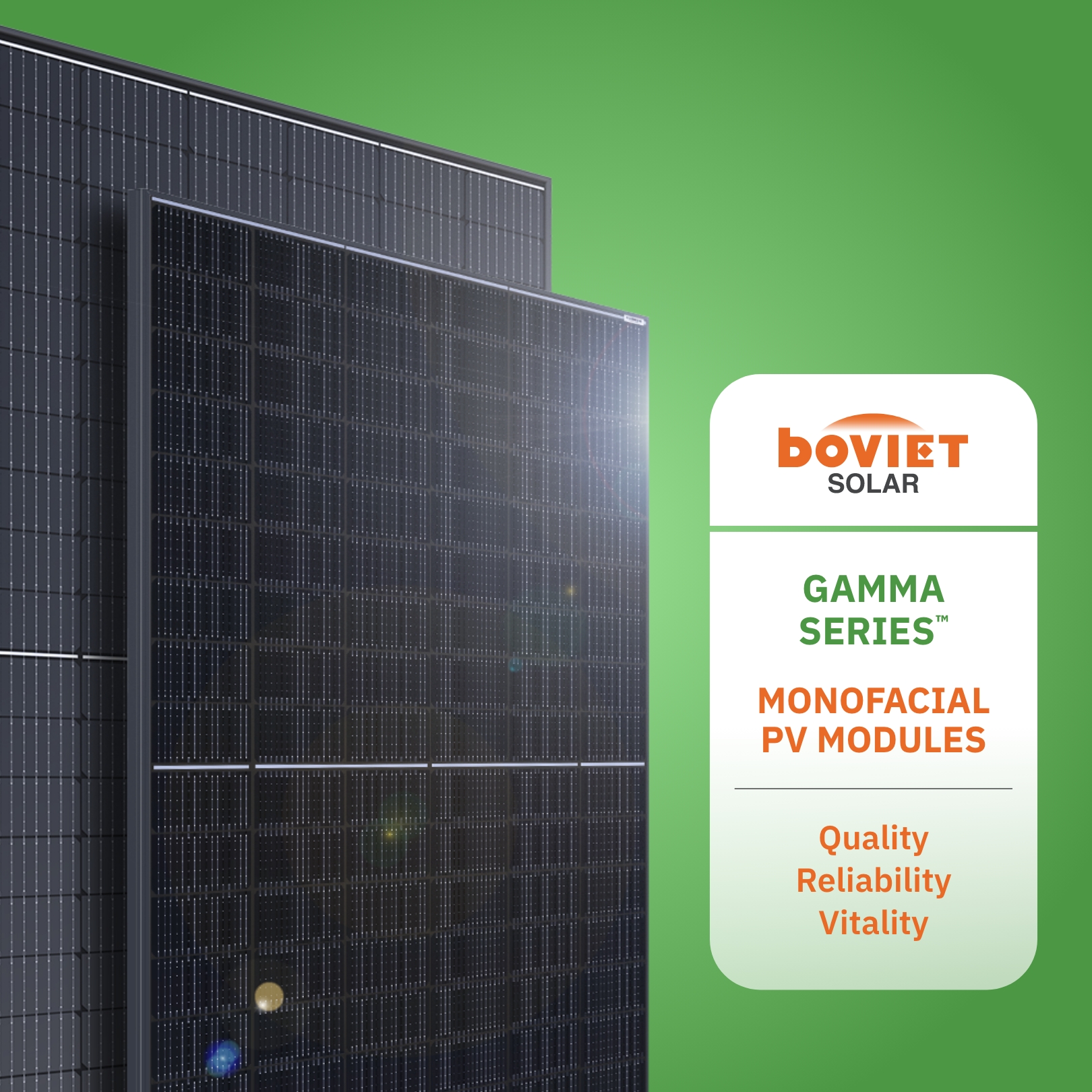 Boviet Pvgamma Gradient