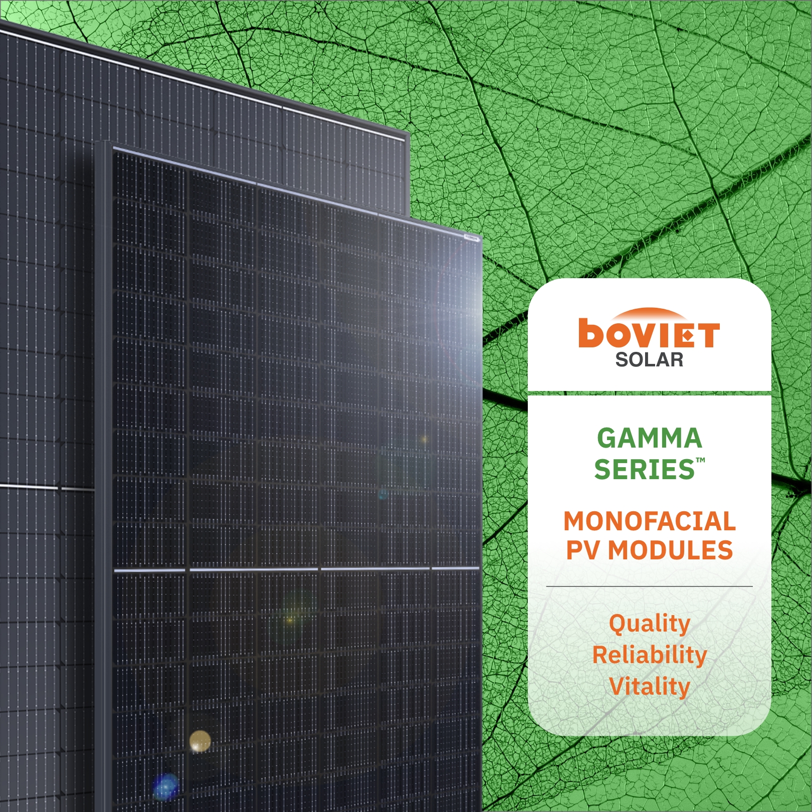 Boviet Pvgamma Leaf