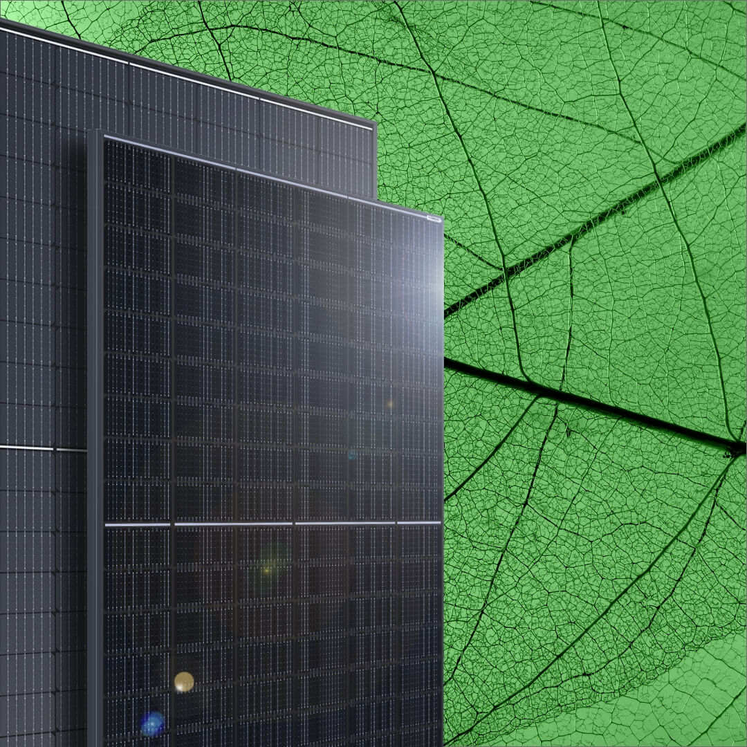 Boviet Pvgamma Leaf Nocopy