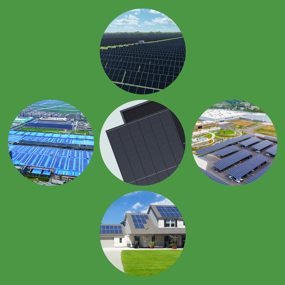 Boviet Pvgamma Option2 Square