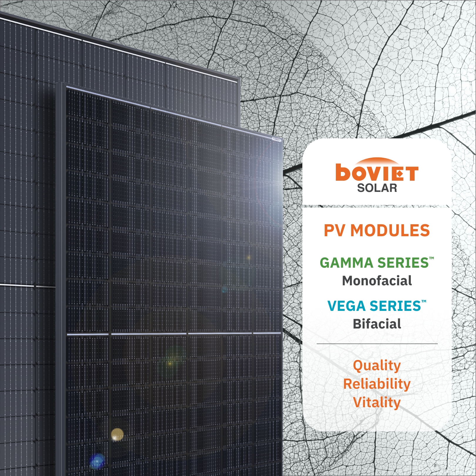 Boviet Pvmodulecombined Leaf