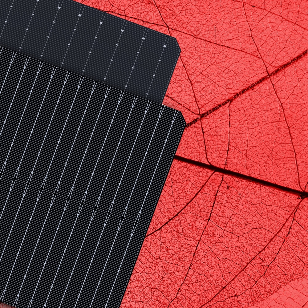 Boviet Pvtech Leaf Nocopy (1)