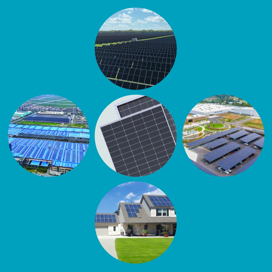 Boviet Pvvega Option2 Square