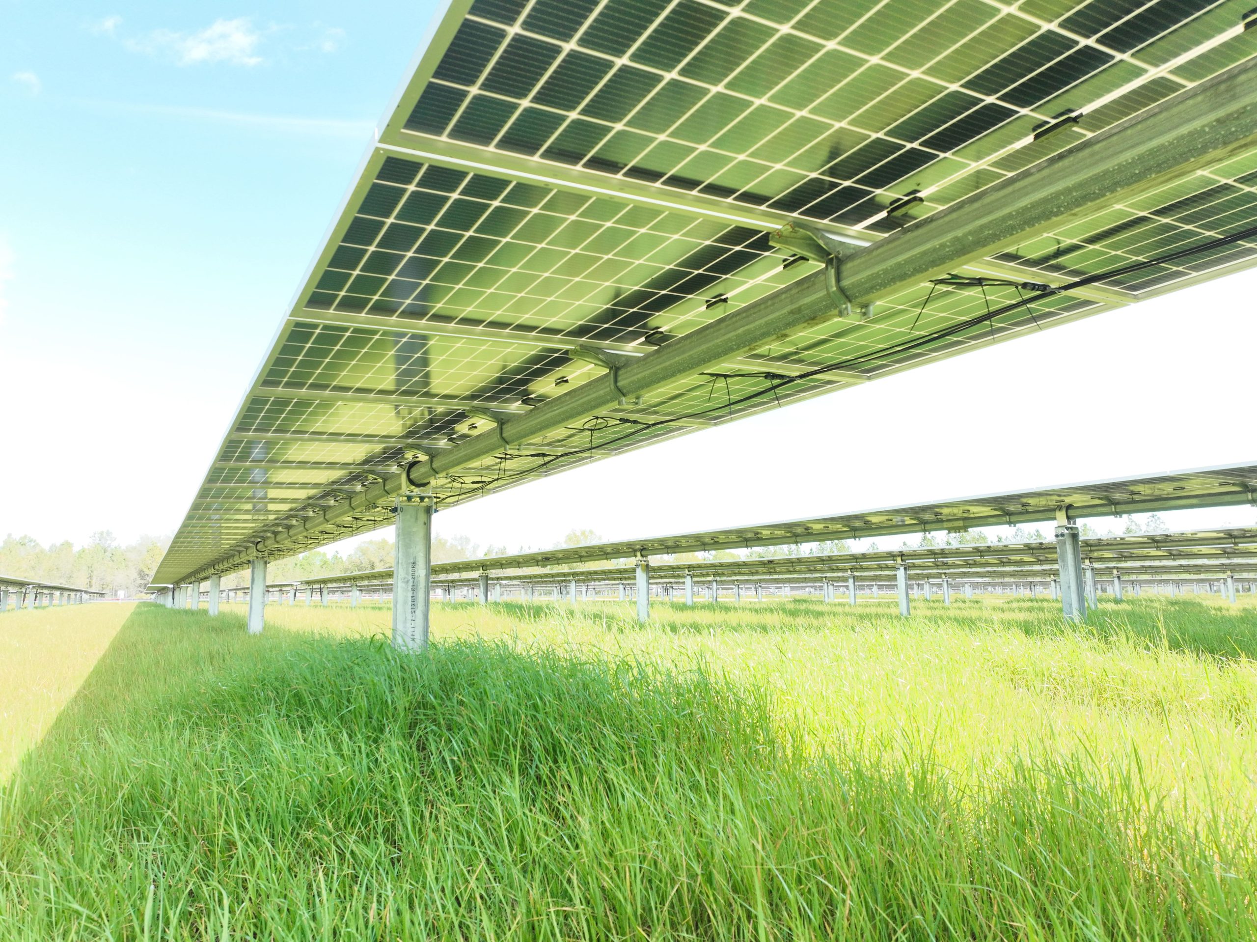 Origis Energy Rice Creek 75 Mw Putman County Florida