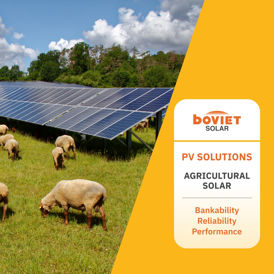 Solarproject Agricultural Square Jan2026