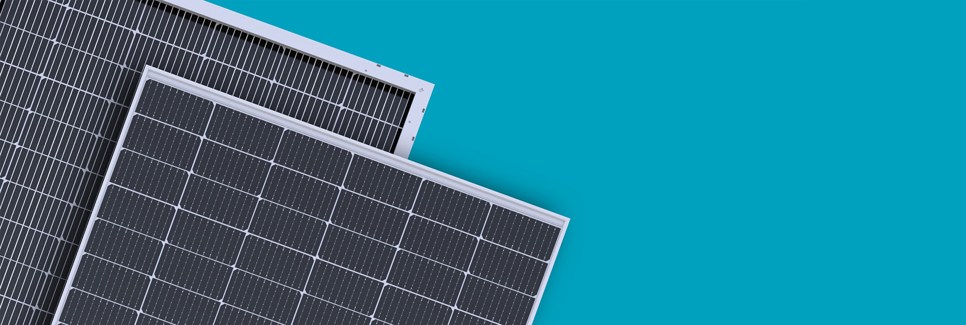 Bifacial Pv Modules Vega Series