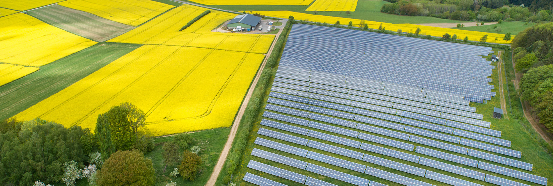 Solar Panel Grid in agricultural field