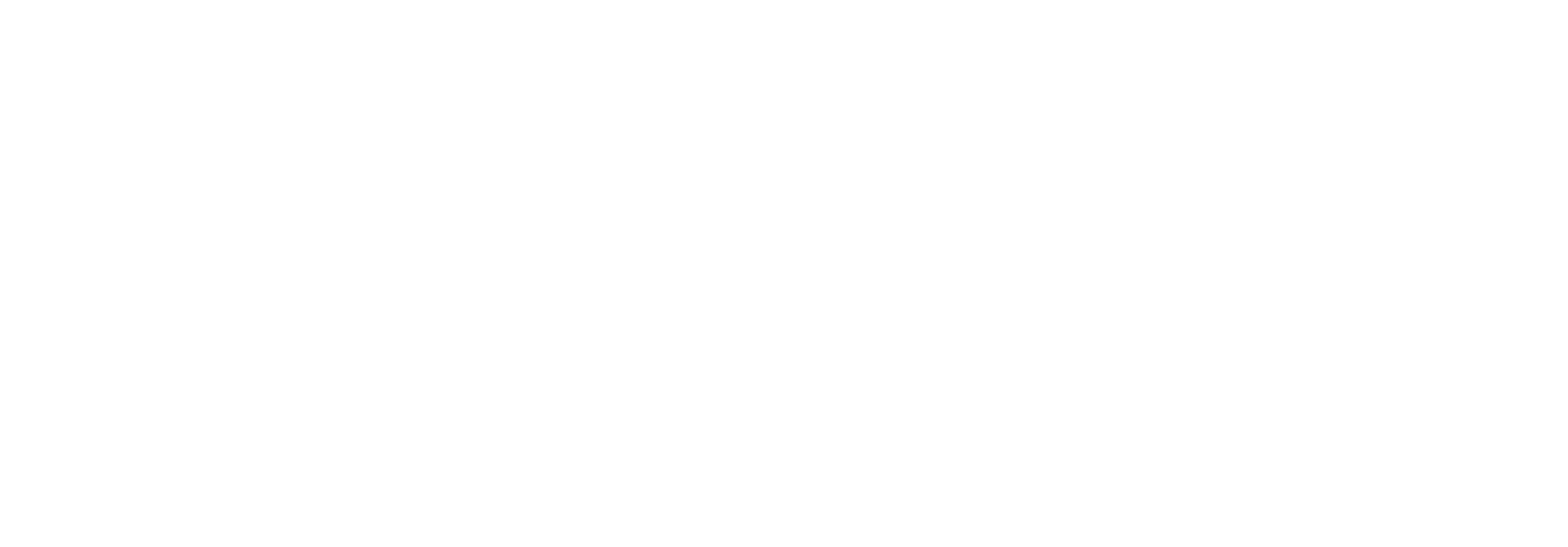 Boway Group logo